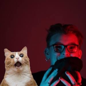 Meet your Posher, Maddie